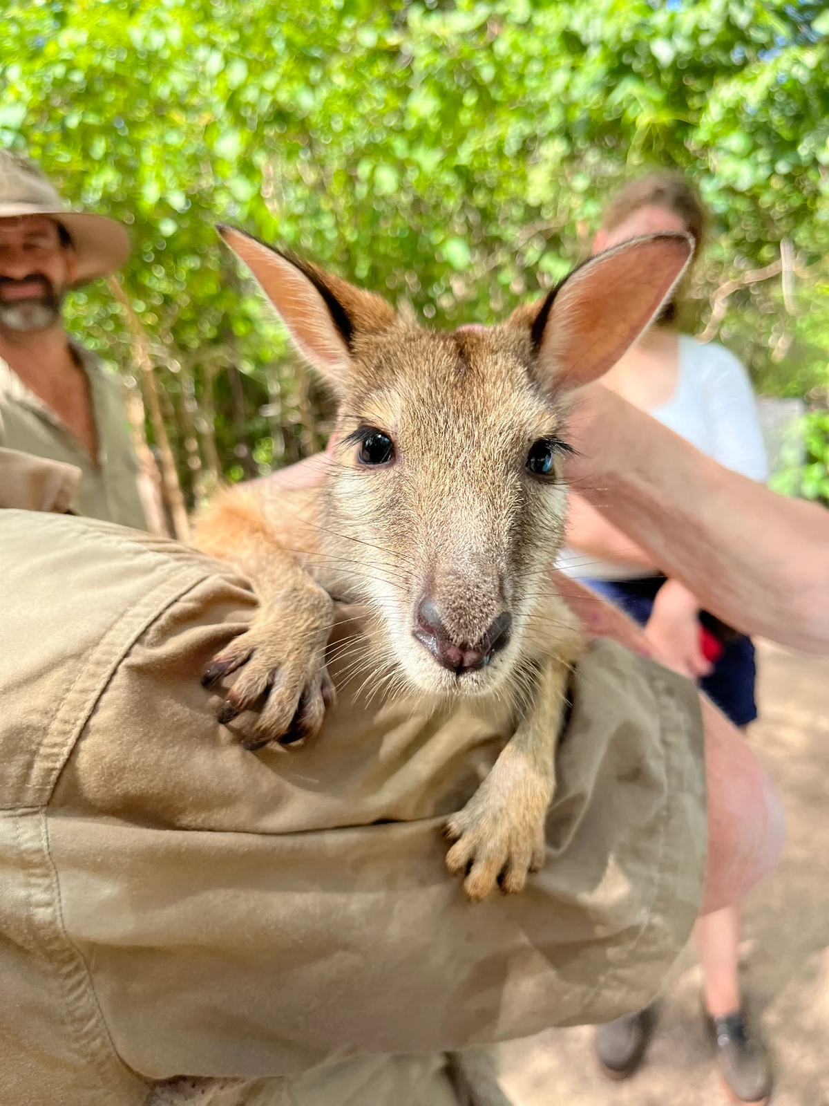 Territory Wildlife Park & Wild Crocodile Safari by Scotty H. The best ...