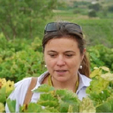 Sandra De M.