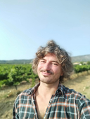 Tomasz K.