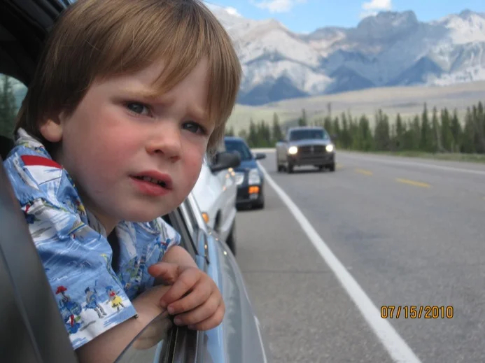Mesmerized by a caribou at the side of the road in Jasper National Park