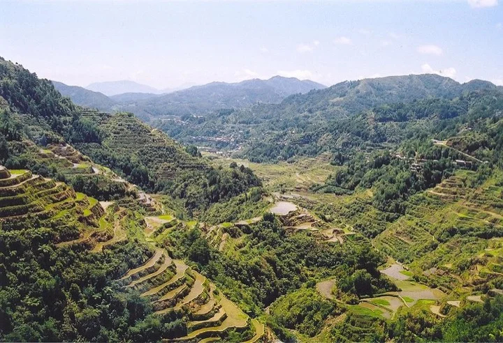 Rice terraces in Banaue