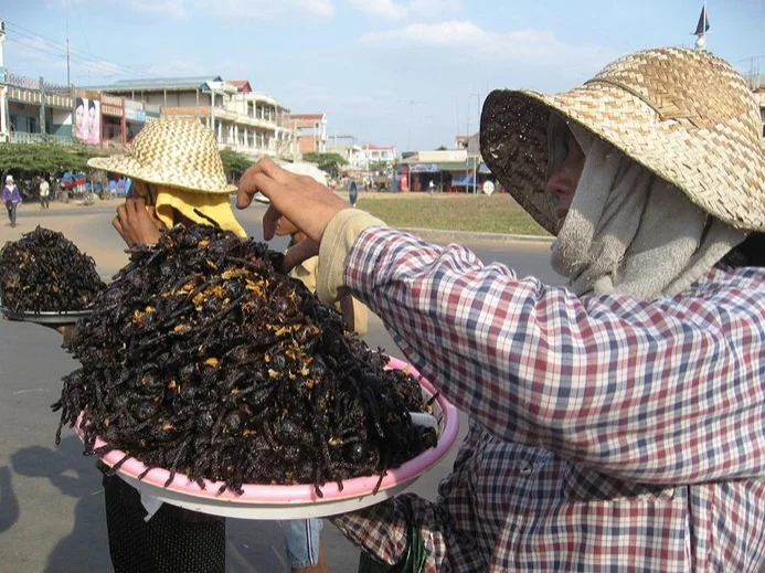 Deep fried Tarantulas for sale in Cambodia