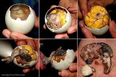 Balut (a specialty in the Philippines)