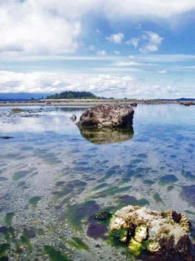 Tideflats at Pacific Rim National Park
