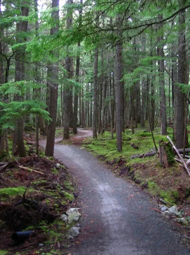 An accessible hiking trail