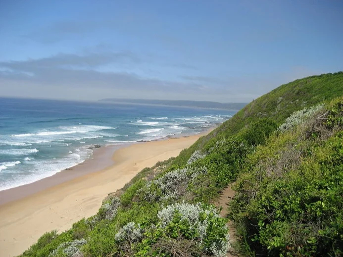 Wilderness Beach