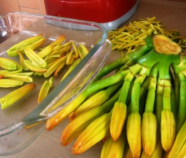 Preparing gualumbos (agave cactus flowers)