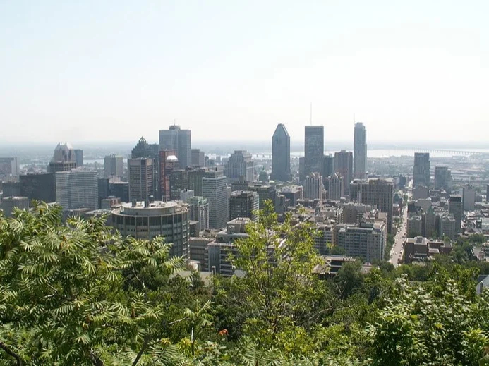 A view of the city from Mount Royal