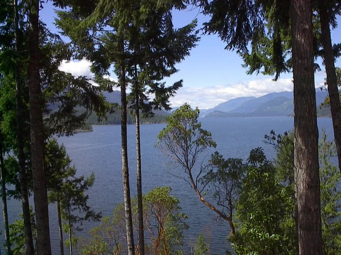 View from above Sechelt