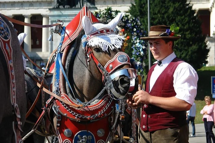 Horses ready for the parade
