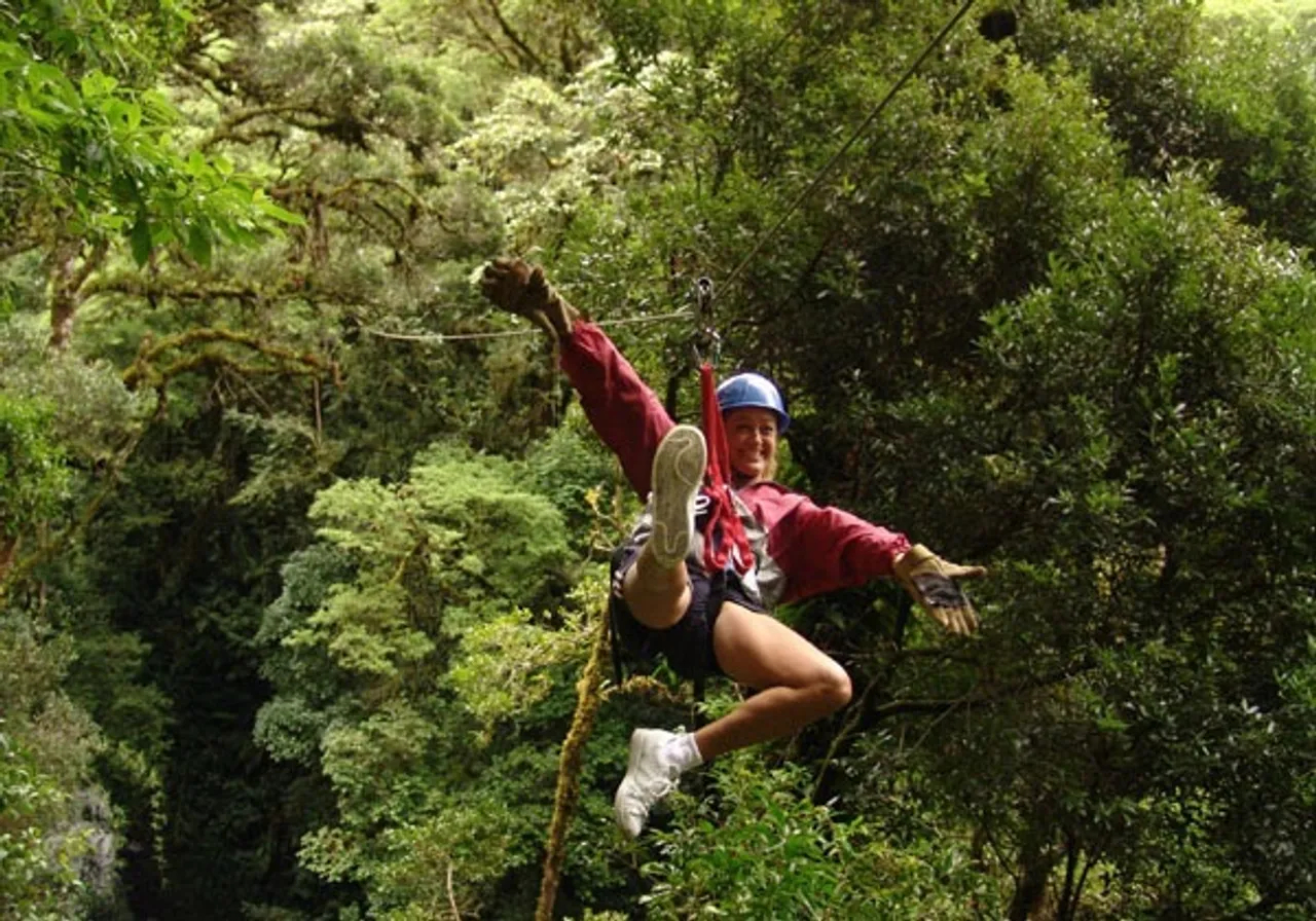 Flly through the jungle canopy