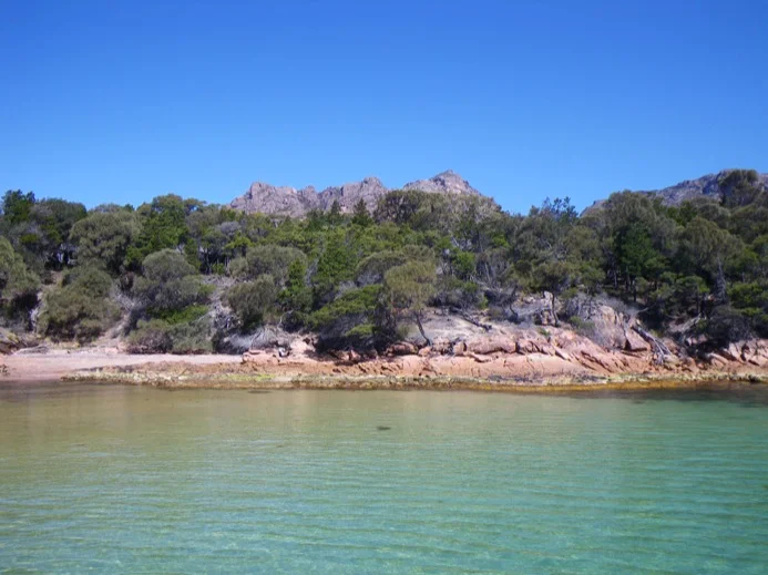 Freycinet