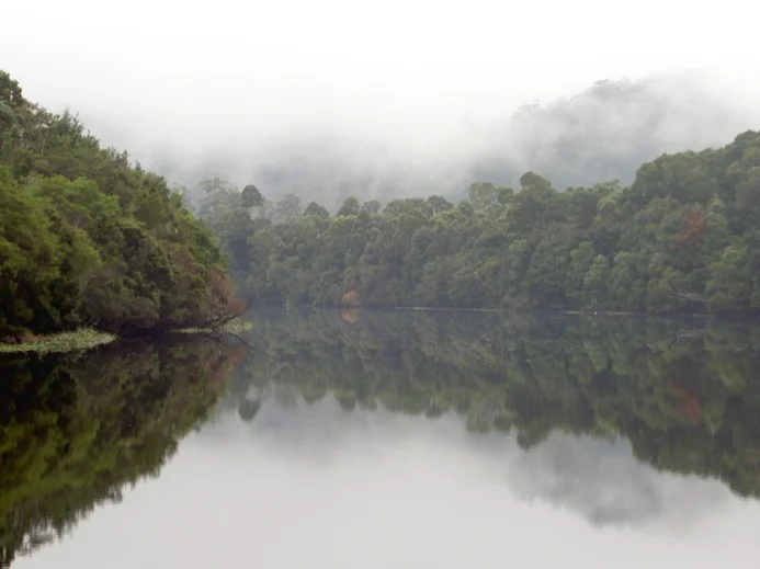 Pieman River