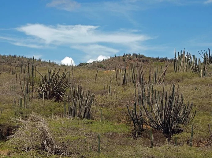 Arikok Park Aruba