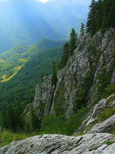 Carpathian Mountains