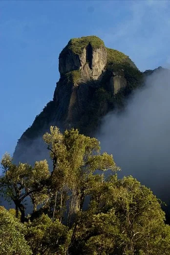 Marojejy National Park