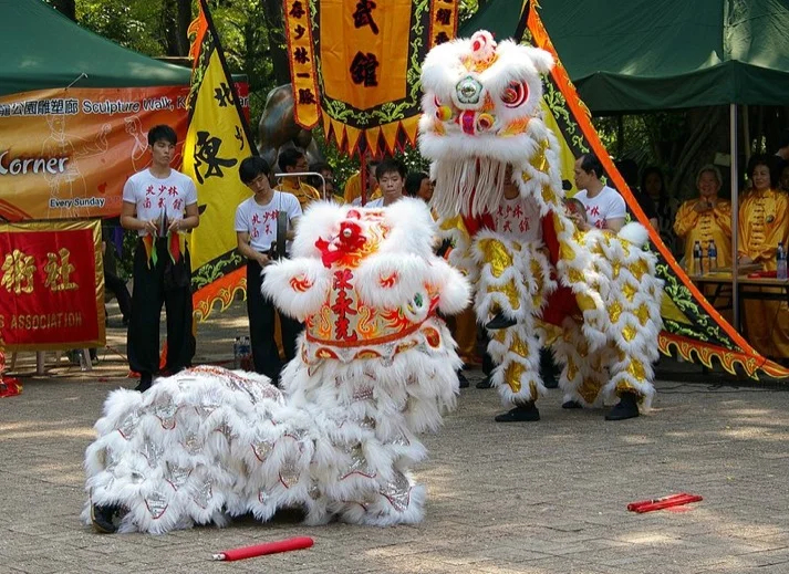 Lion dancers