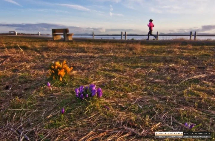 Vancouver Spring (photo courtesty of Jorge Ligason)