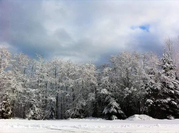 Beautiful Burnaby Mountain...but we want Spring!