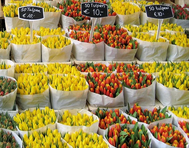 Tulip market on the Canal