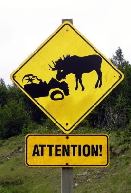 Pay attention while driving!