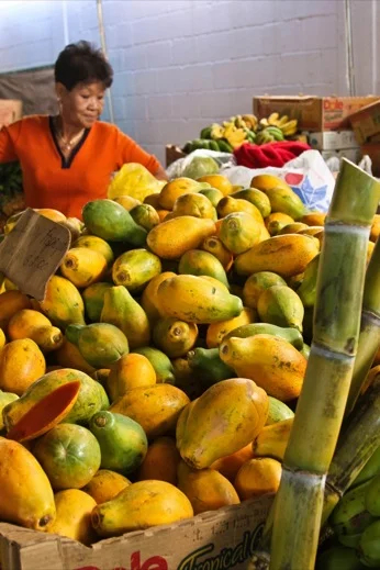 Fresh papayas at Hilo's Farmer's Market