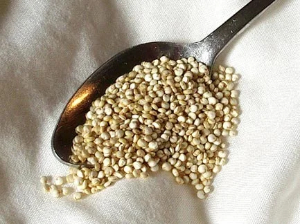 Quinoa Grains