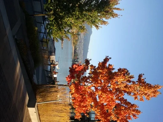 It was a beautiful Vancouver day