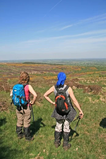Hikers in the Slieve Bloom Mountains