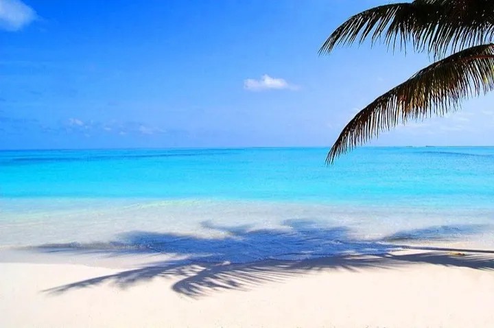 Chestnuts roasting on an open fire pales in comparison to this! (Maldives)