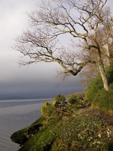 Loch Lomond on a misty winter's day