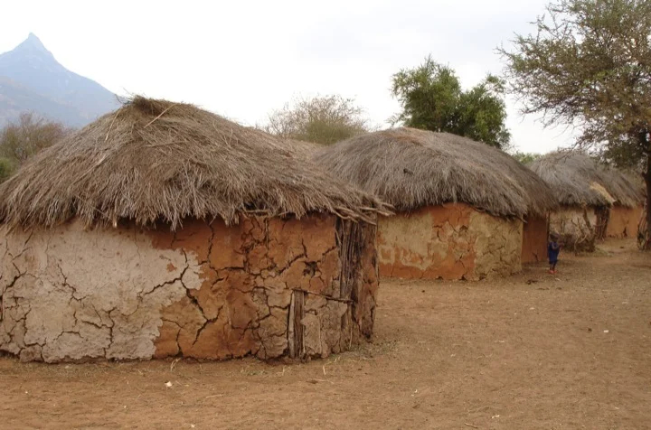 Maasai homes