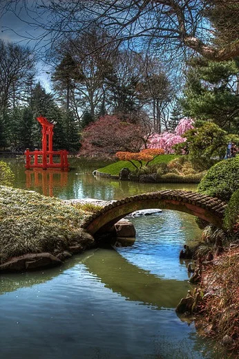 Brooklyn Botanic Garden (Japanese Garden)