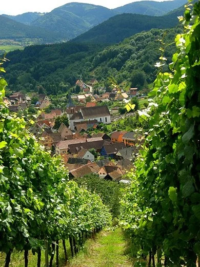 Thecharming Alsatian town of Albe