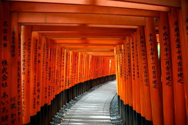 Torii gates, Fushimi Inari Shrine