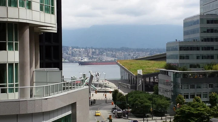 View from Paul's office