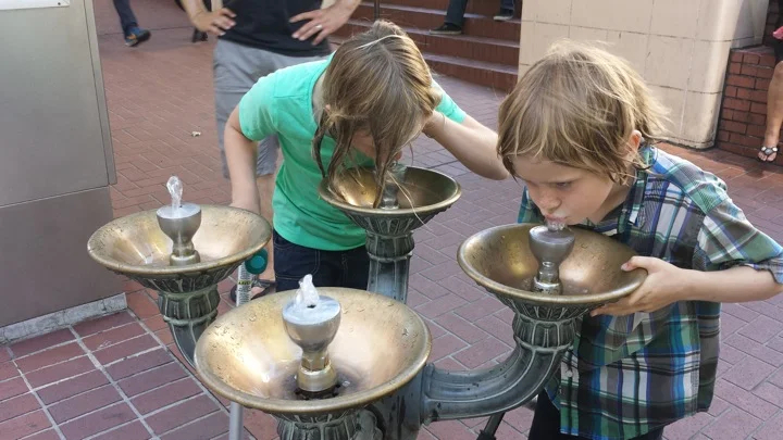 Drinking from the "Benson Bubblers" in downtown Portland