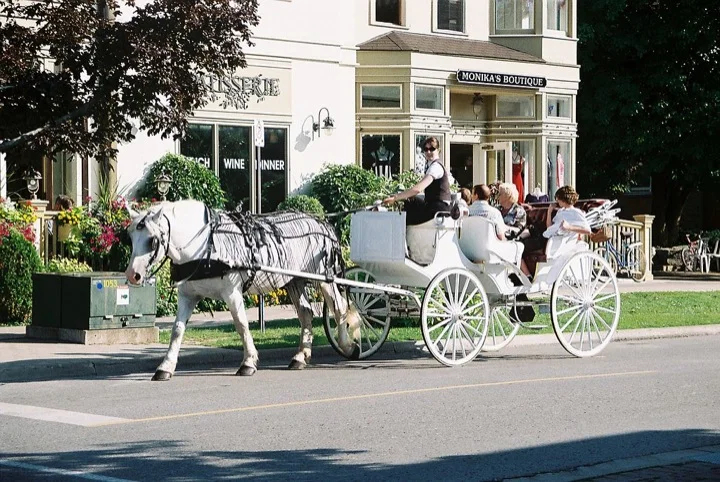 A horse drawn carriage in Niagara-on-the-Lake
