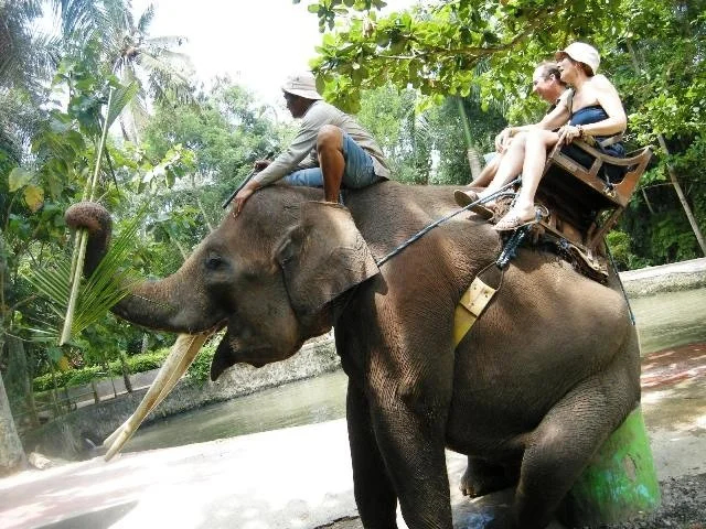 ToursByLocals travelers riding an elephant in Bali