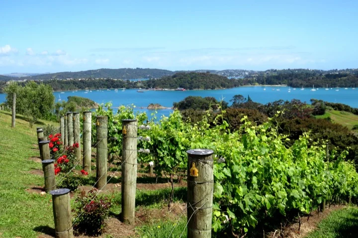 Waiheke, New Zealand