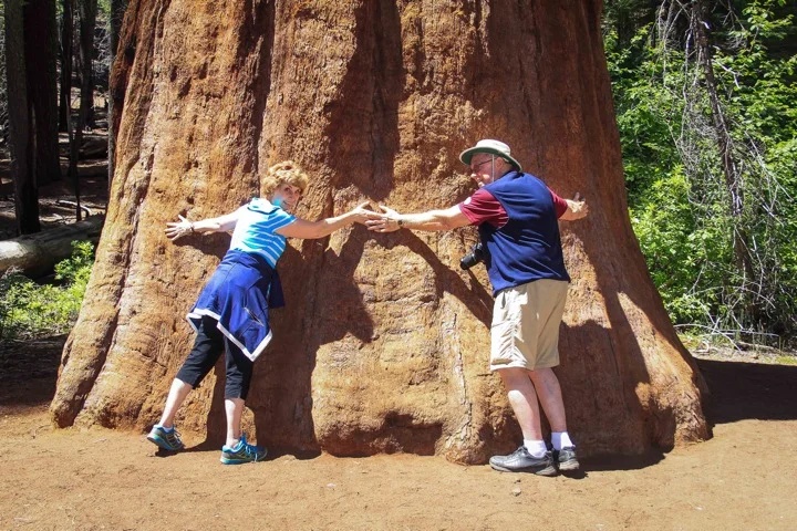 Yosemite Guide Pat takes traveler to see some of the world's biggest trees.