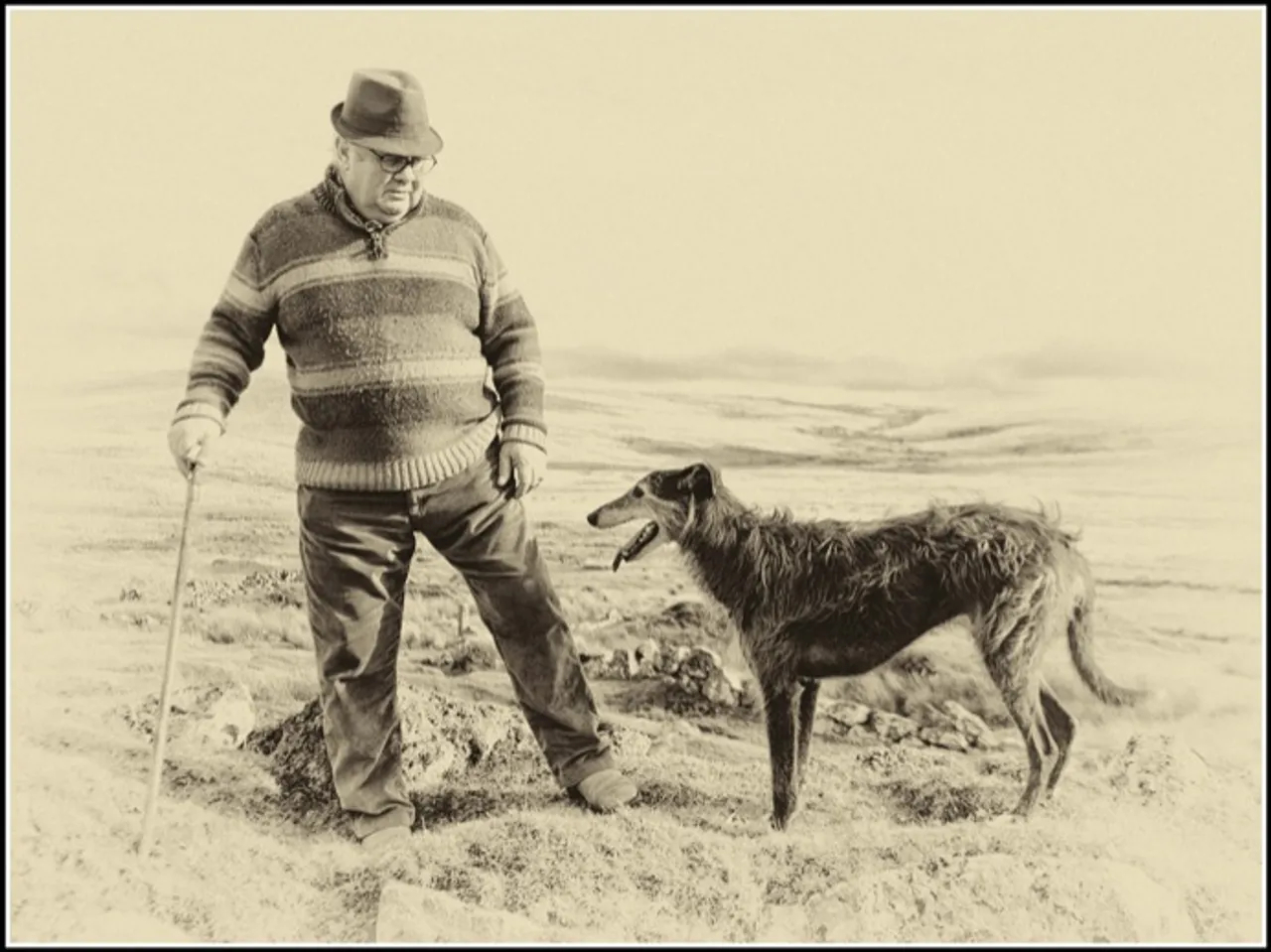 Alfie the lurcher didn't quite fit the bill