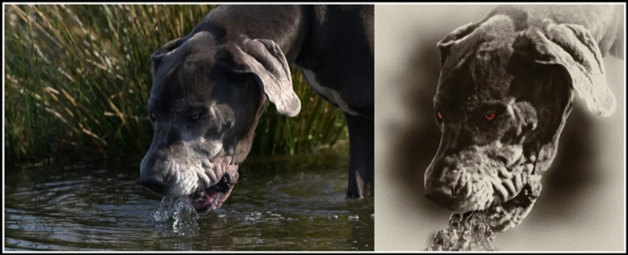 Luther...transformed!