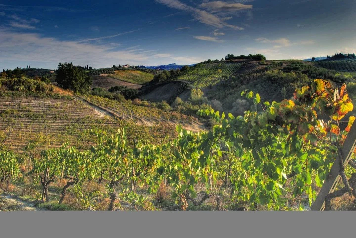 Rolling hills of Chianti region: day trip from Florence, Italy