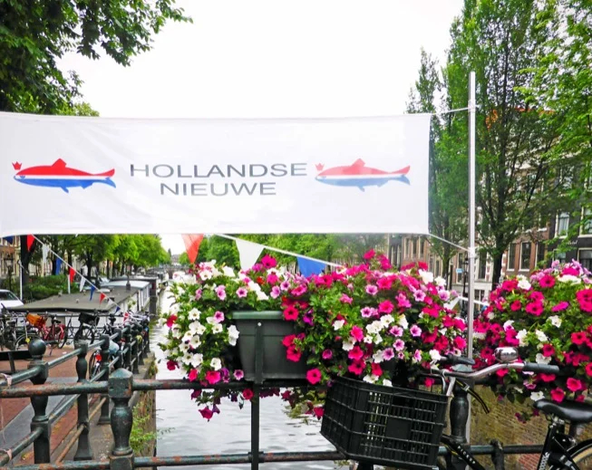 Hollandse Nieuwe!