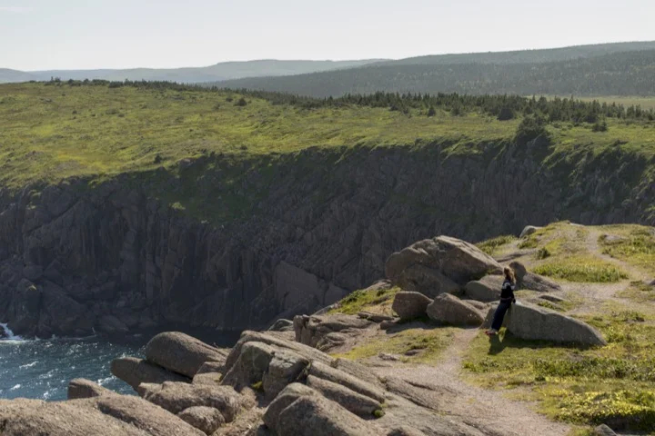 Cliffs along Newfoundland's Avalon Peninsula