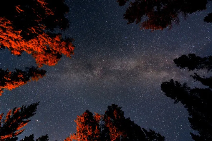 The night sky in Jasper