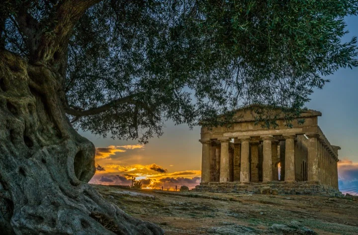 Explore the Valley of the Temples after sunset.