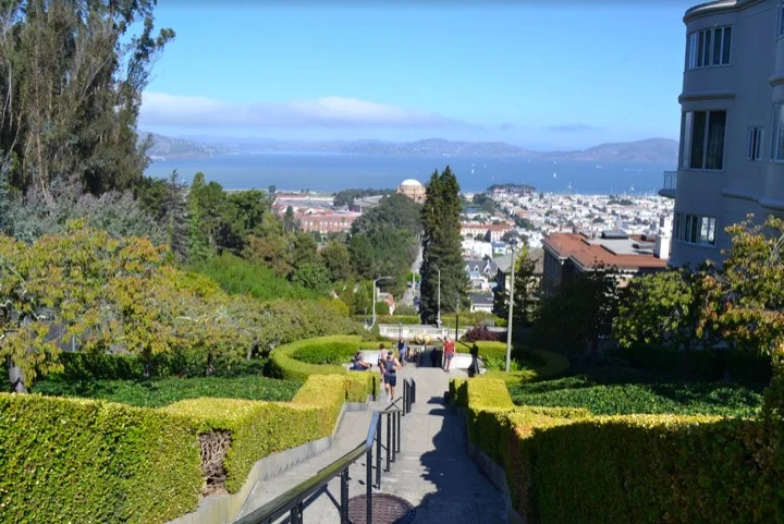 One of many gorgeous urban views a guide can show you in San Francisco