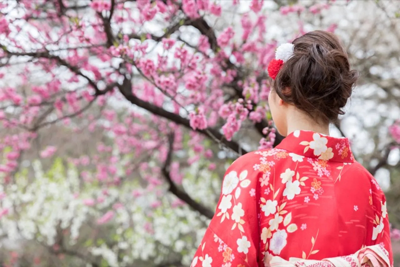 "Hanami" - cherry blossom viewing season in Japan